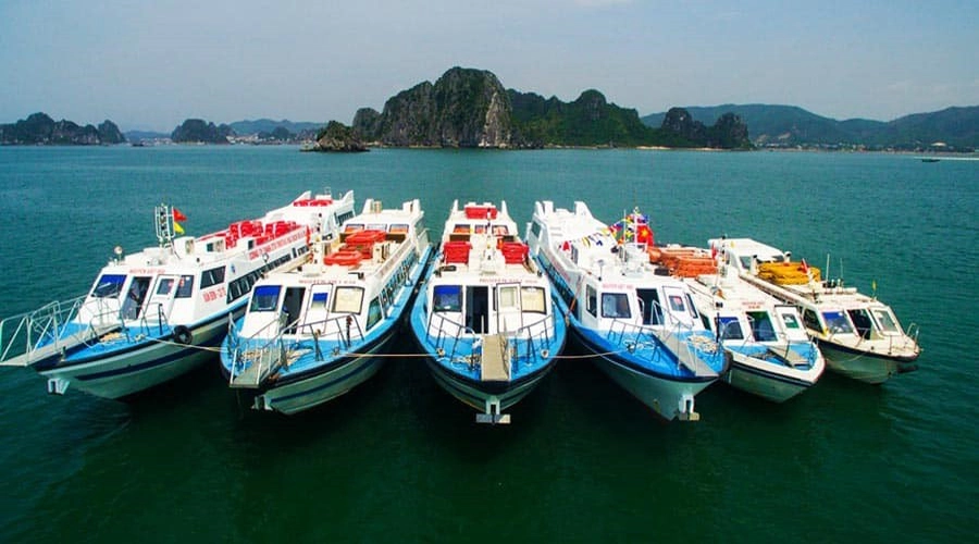 Cano đi tới đảo