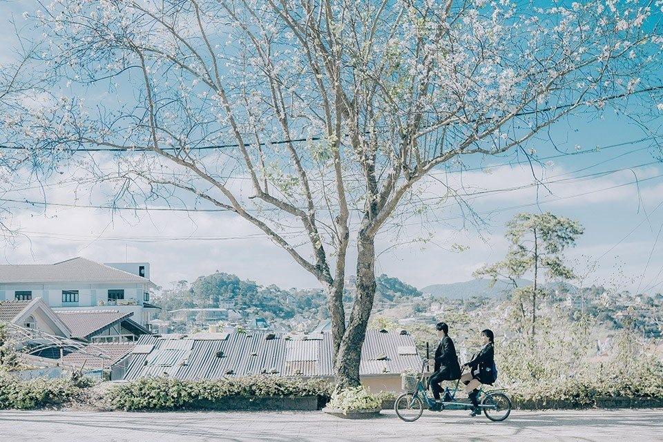 Đi Đà Lạt mùa nào đẹp - Đà Lạt tháng 10-12 